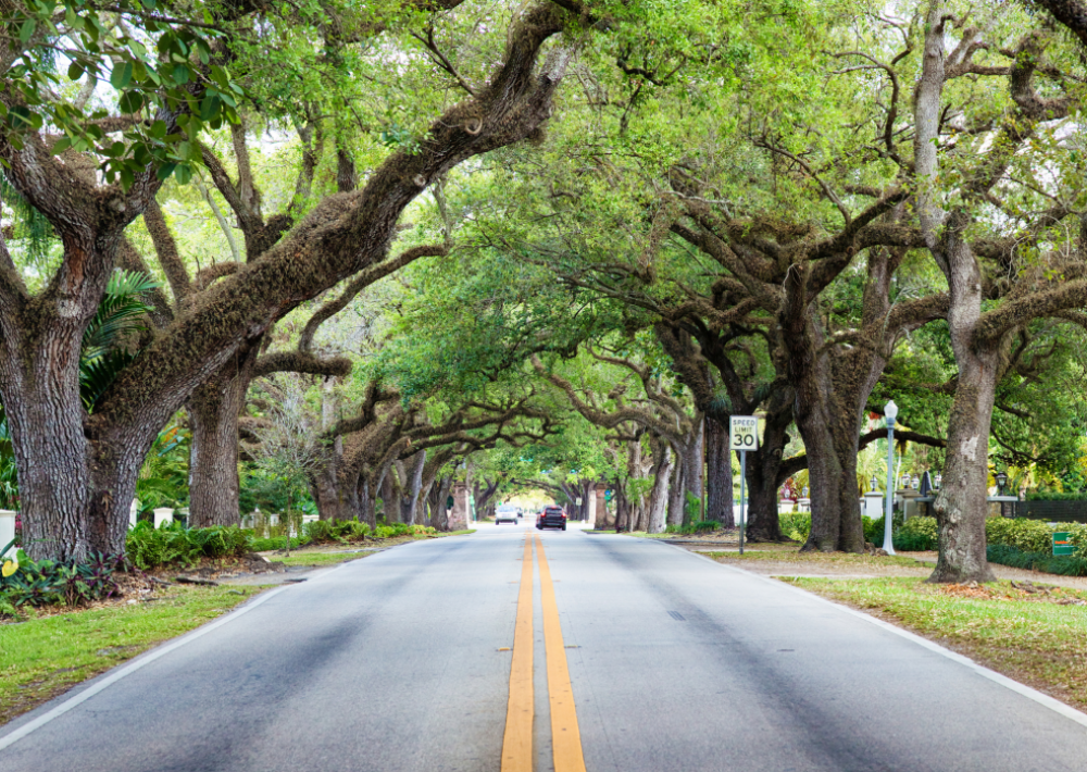 Coral Gables Coral Gables Real Estate - Memo Vargas, Broker-CEO